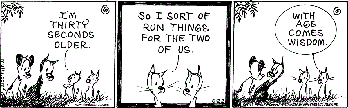 June 22 2024, Daily Comic Strip