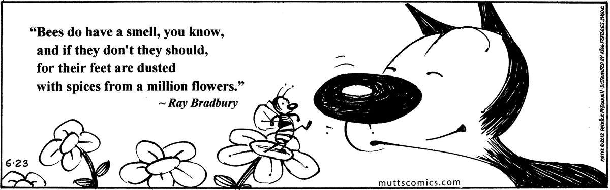 June 23 2012, Daily Comic Strip