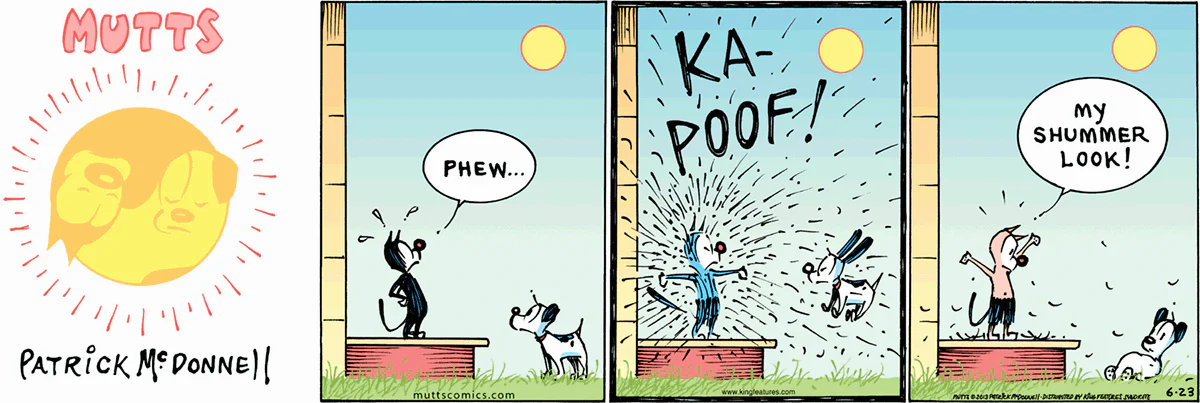 June 23 2013, Sunday Comic Strip