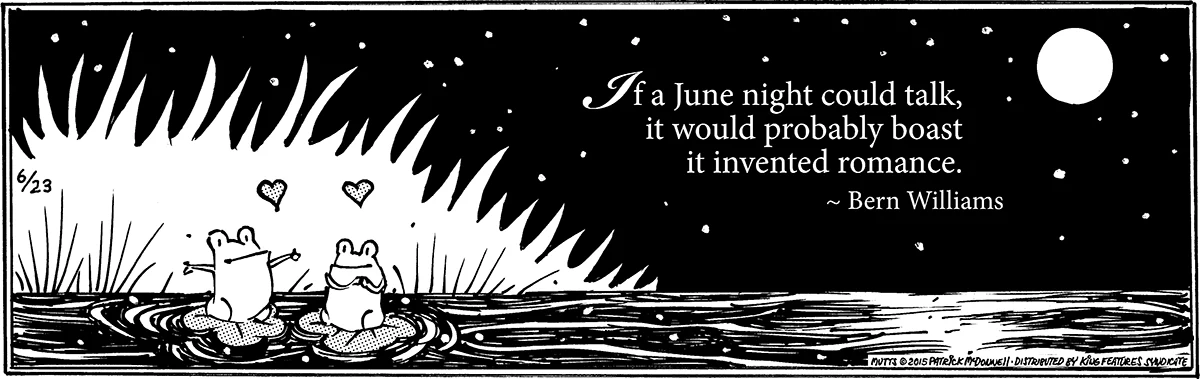 June 23 2015, Daily Comic Strip