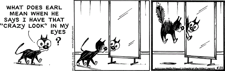 June 23 2016, Daily Comic Strip