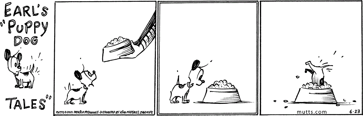 June 23 2021, Daily Comic Strip