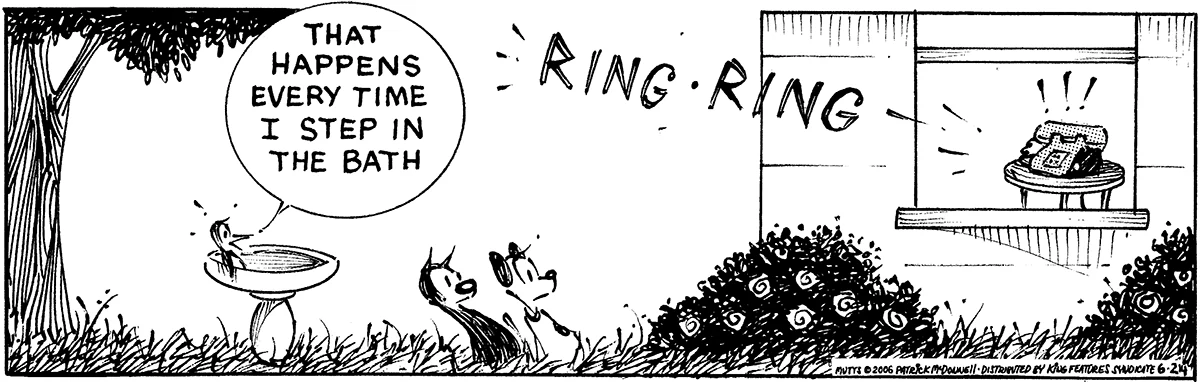 June 24 2006, Daily Comic Strip