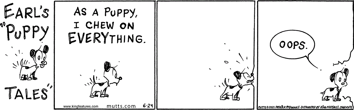 June 24 2021, Daily Comic Strip