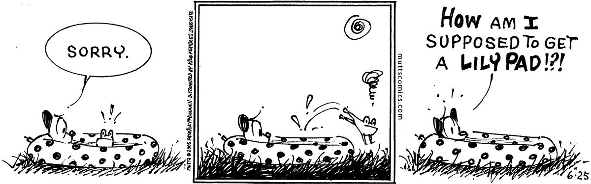 June 25 2005, Daily Comic Strip