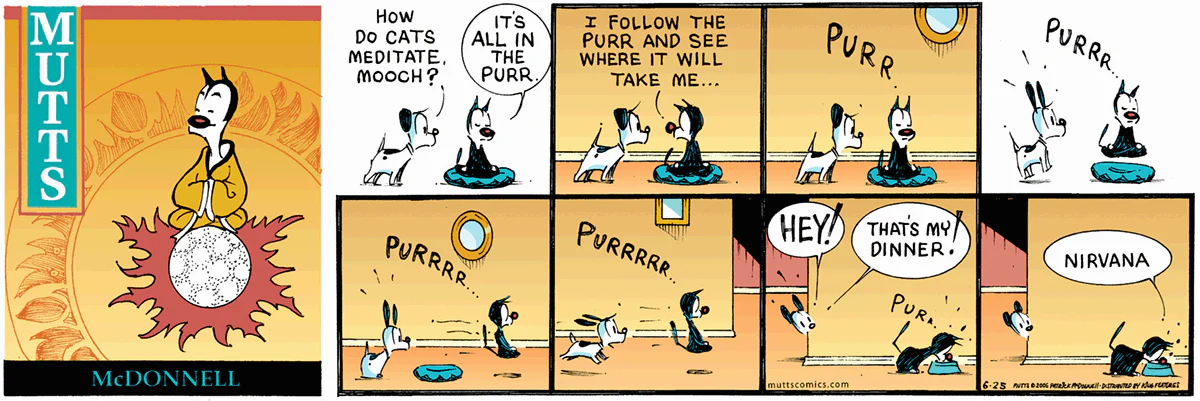 June 25 2006, Sunday Comic Strip