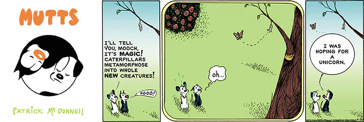 June 26 2016, Sunday Comic Strip