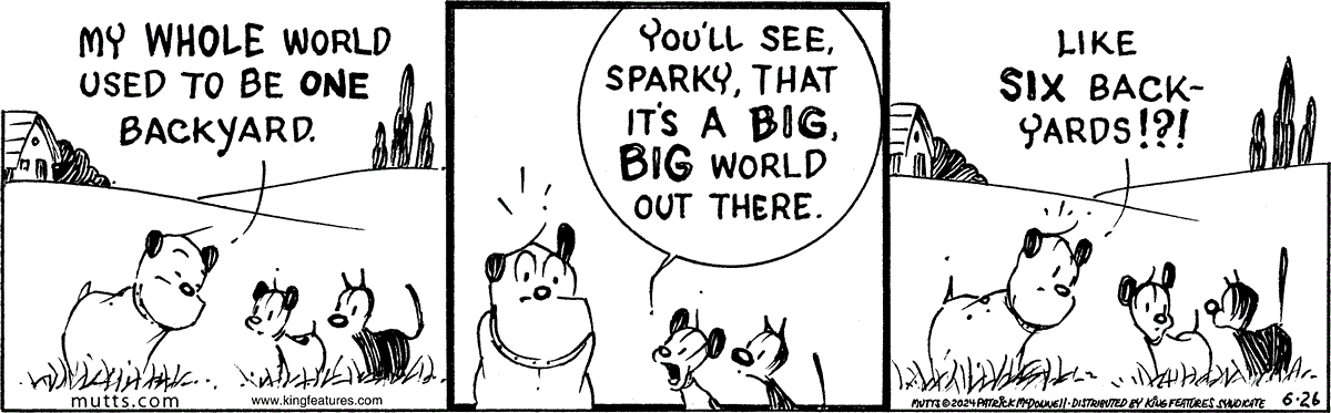 June 26 2024, Daily Comic Strip