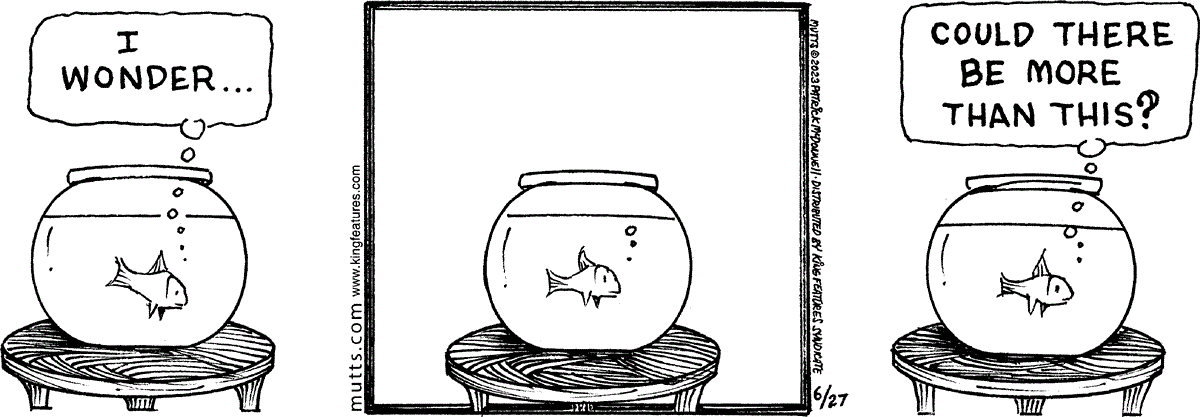June 27 2023, Daily Comic Strip
