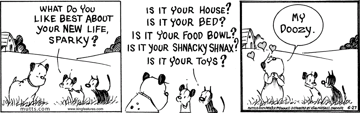 June 27 2024, Daily Comic Strip