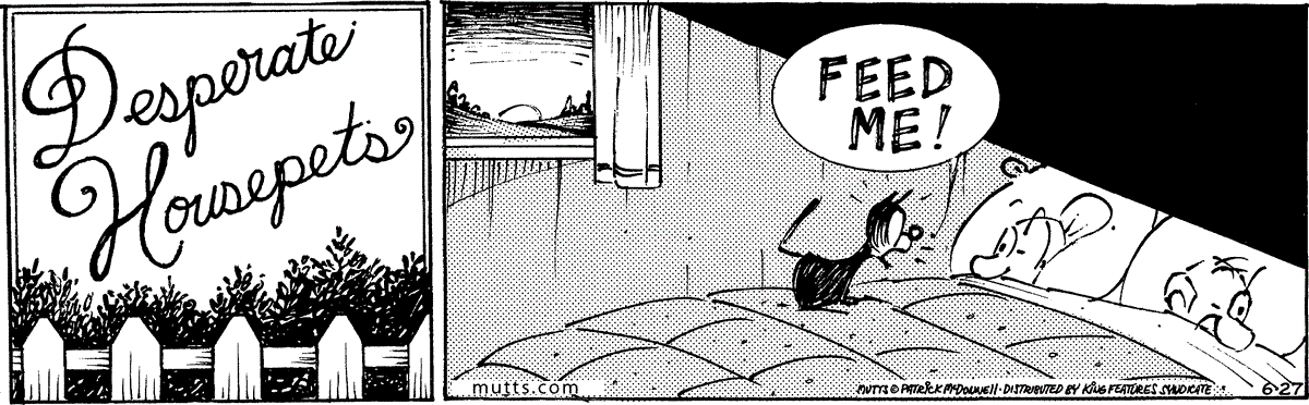 June 27 2025, Daily Comic Strip