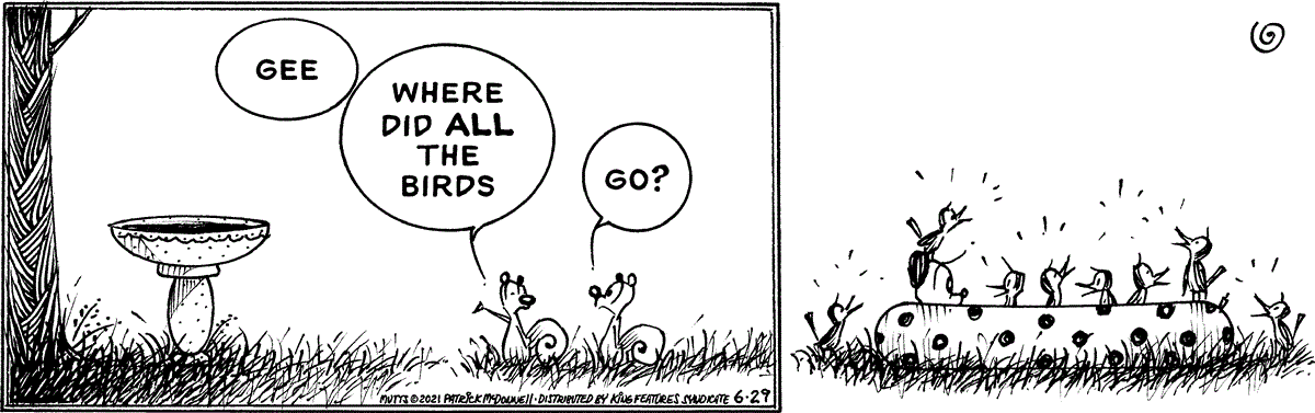 June 29 2021, Daily Comic Strip
