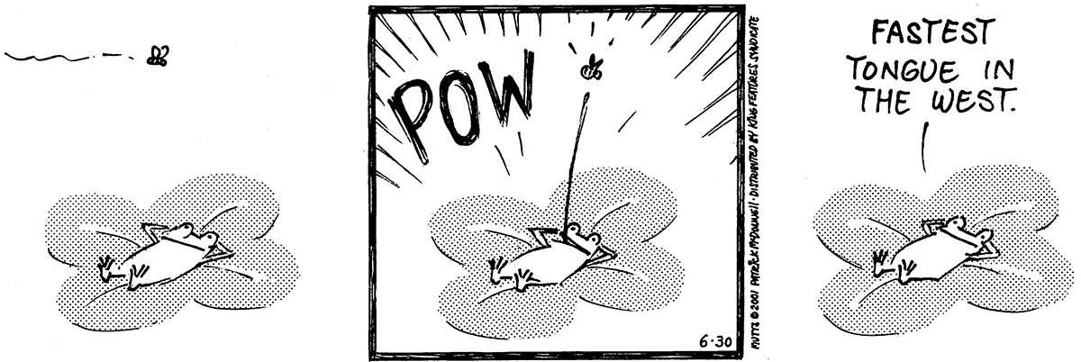 June 30 2001, Daily Comic Strip