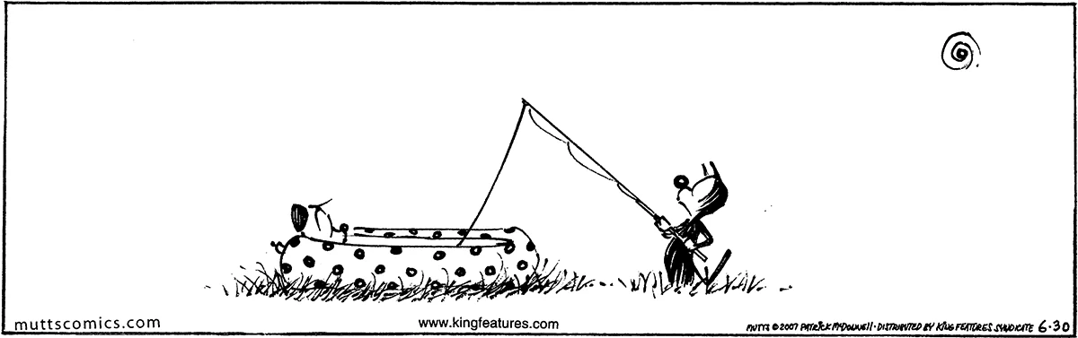 June 30 2007, Daily Comic Strip