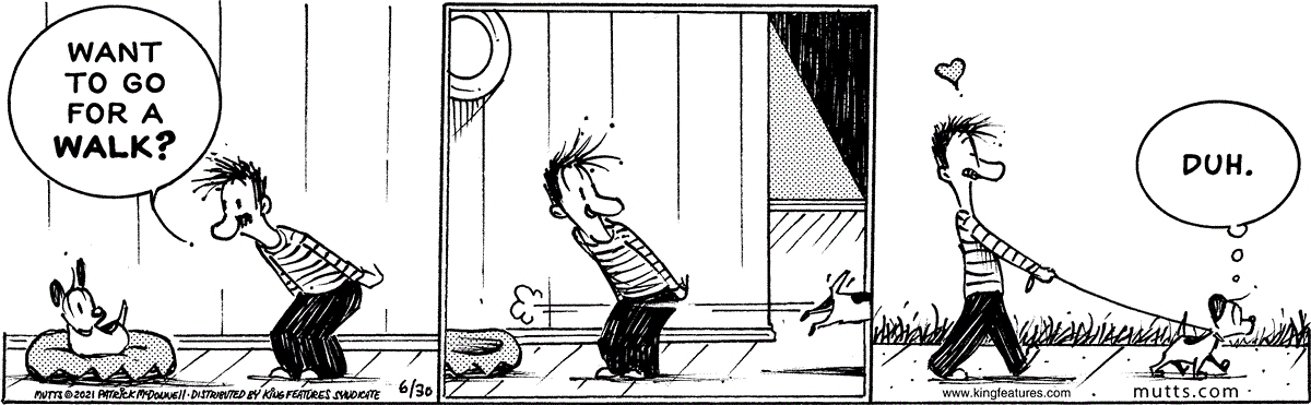 June 30 2021, Daily Comic Strip