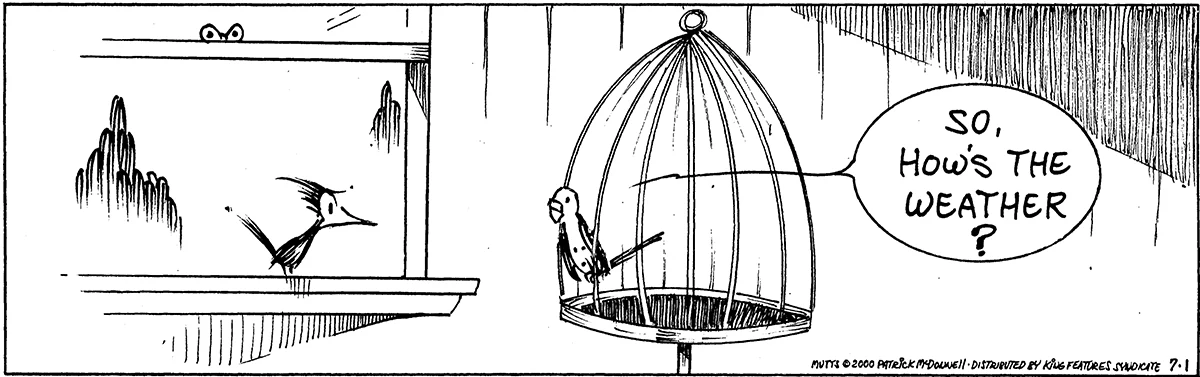 July 1 2000, Daily Comic Strip