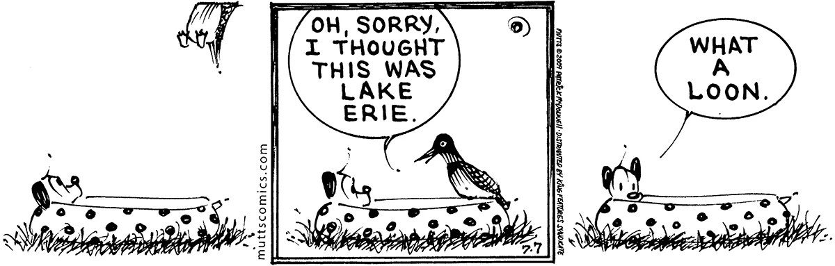 July 7 2009, Daily Comic Strip