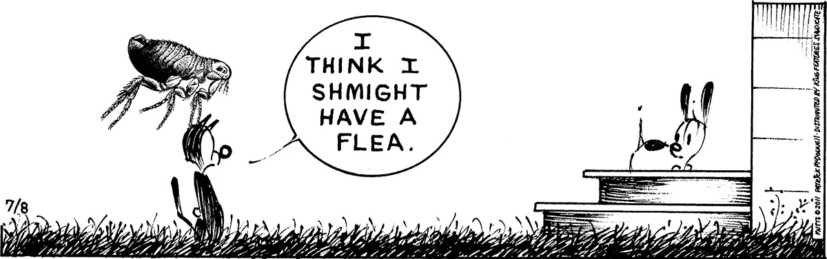 July 8 2011, Daily Comic Strip