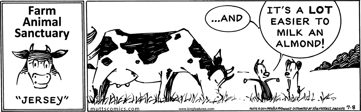 July 8 2014, Daily Comic Strip