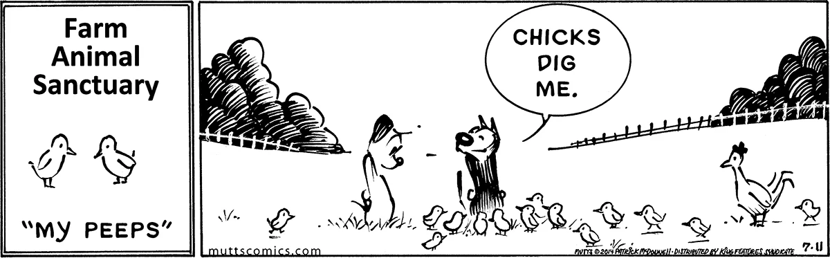 July 11 2014, Daily Comic Strip