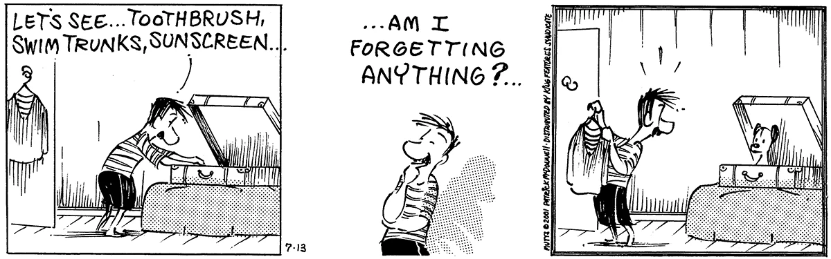 July 13 2001, Daily Comic Strip