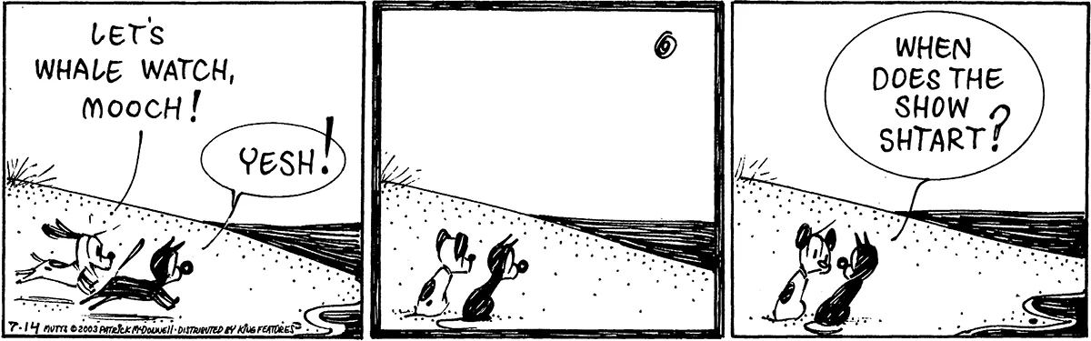 July 14 2003, Daily Comic Strip