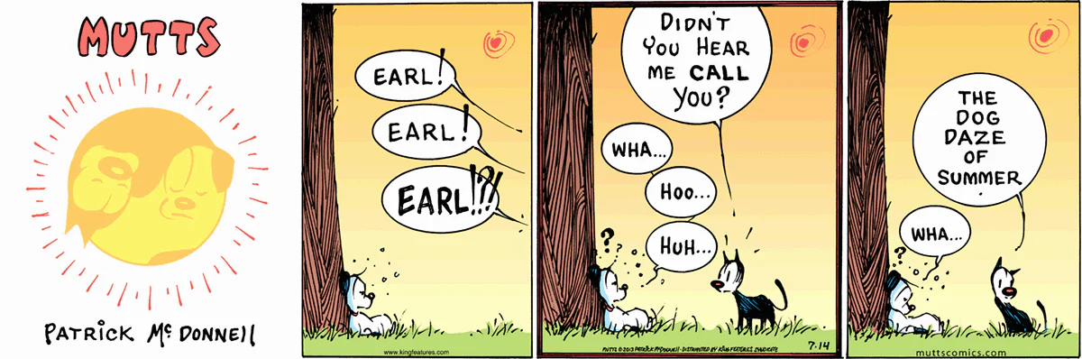 July 14 2013, Sunday Comic Strip