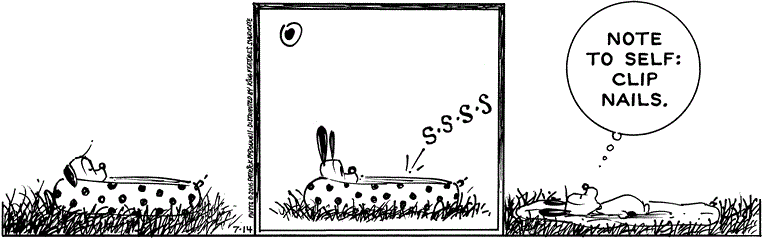 July 14 2016, Daily Comic Strip