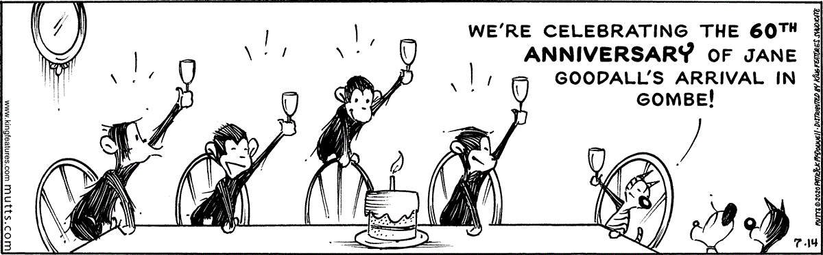 July 14 2020, Daily Comic Strip