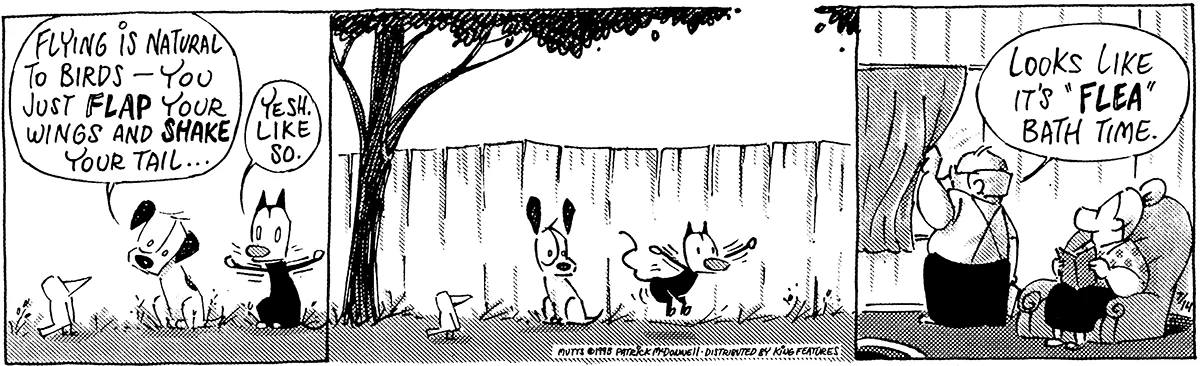 July 14 1995, Daily Comic Strip