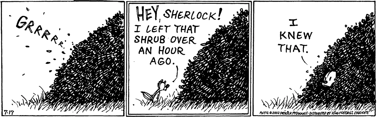 July 17 2002, Daily Comic Strip