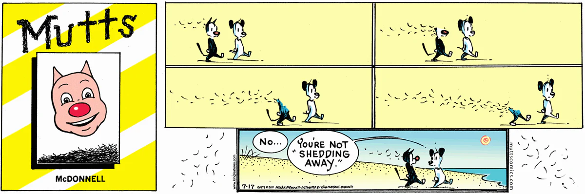 July 17 2011, Sunday Comic Strip