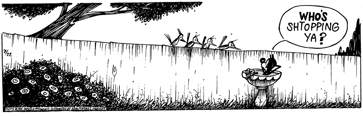 July 22 1999, Daily Comic Strip