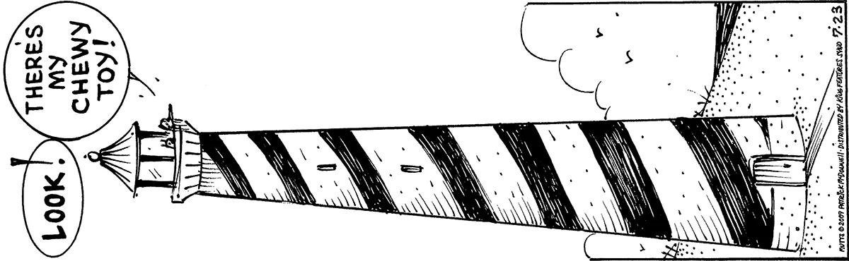 July 23 2009, Daily Comic Strip