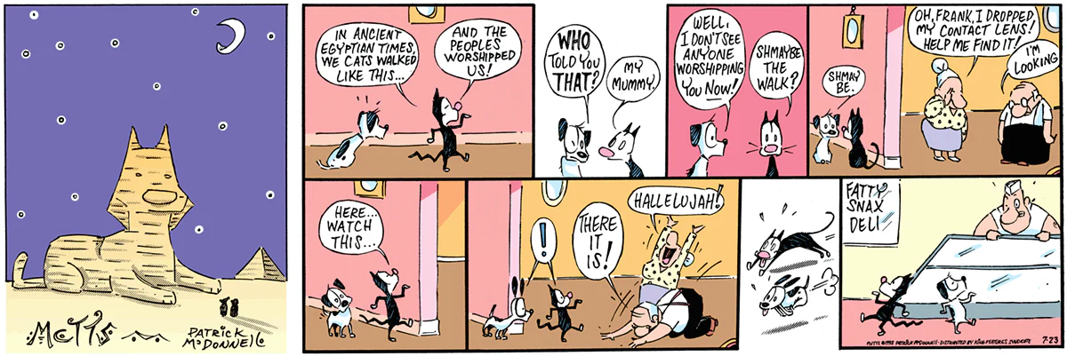July 23 1995, Sunday Comic Strip