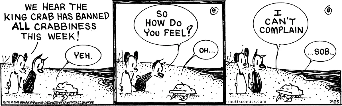 July 25 2006, Daily Comic Strip