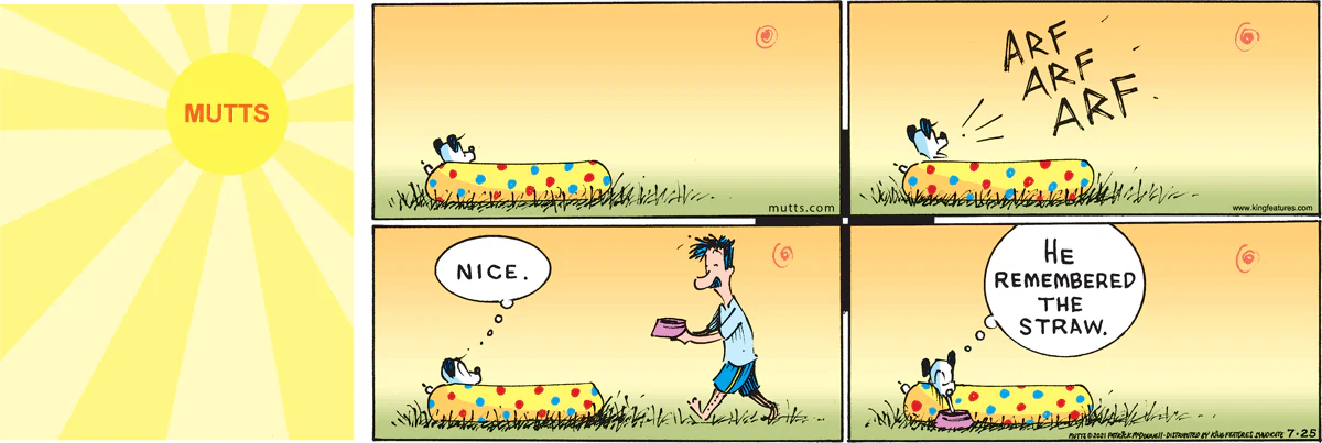 July 25 2021, Sunday Comic Strip