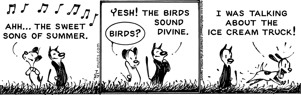 July 27 2021, Daily Comic Strip