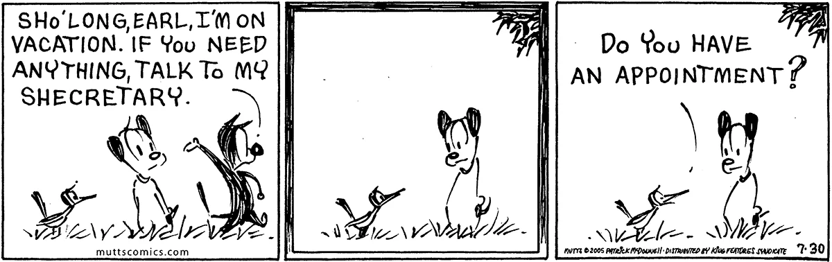 July 30 2005, Daily Comic Strip