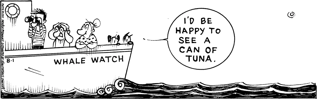 August 1 2011, Daily Comic Strip