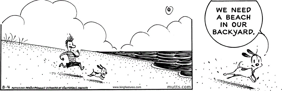August 4 2021, Daily Comic Strip