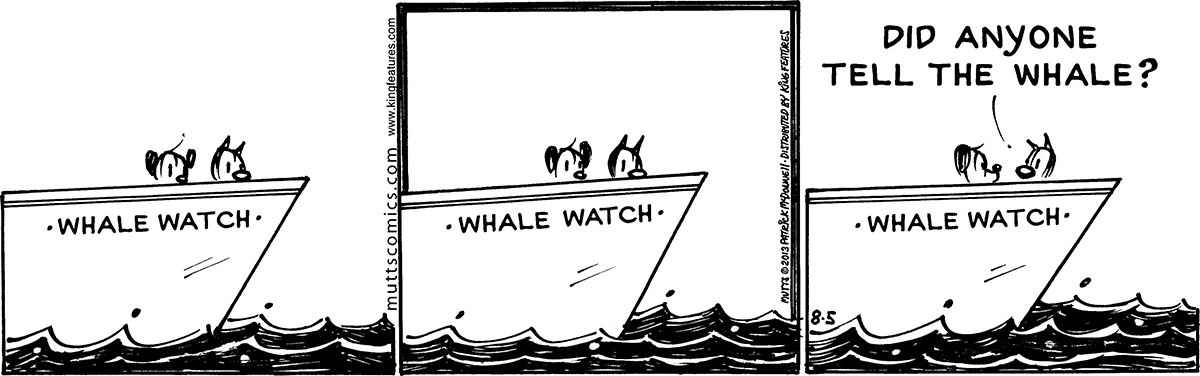 August 5 2013, Daily Comic Strip