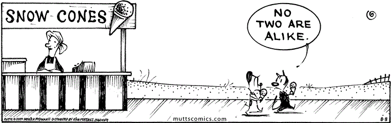 August 5 2017, Daily Comic Strip
