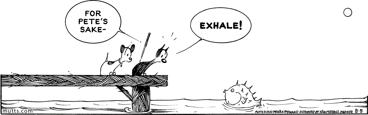 August 5 2022, Daily Comic Strip