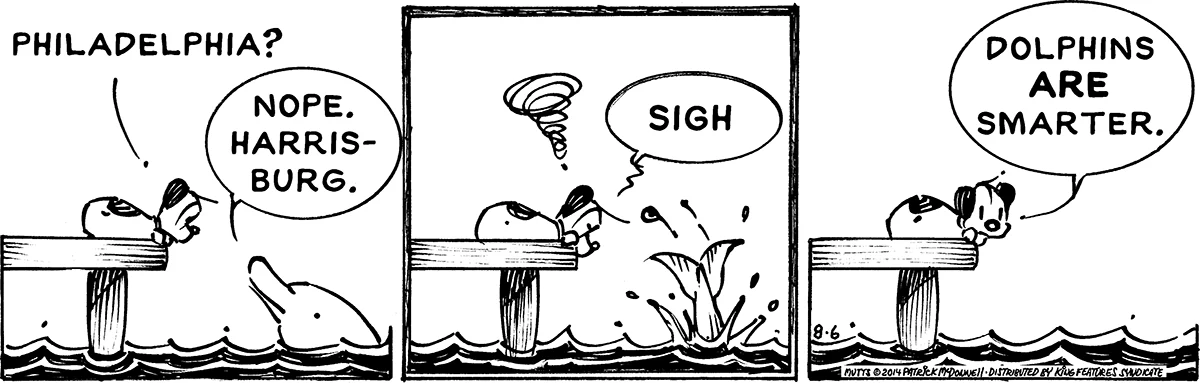 August 6 2014, Daily Comic Strip