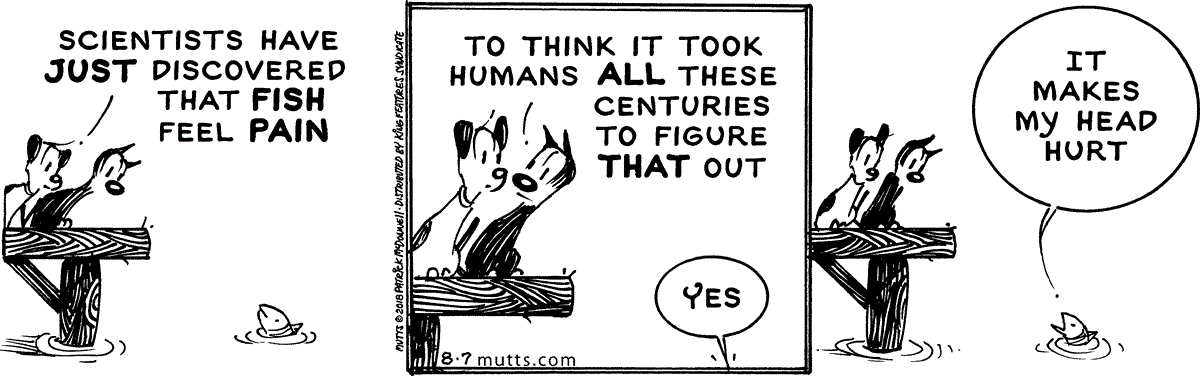 August 7 2018, Daily Comic Strip