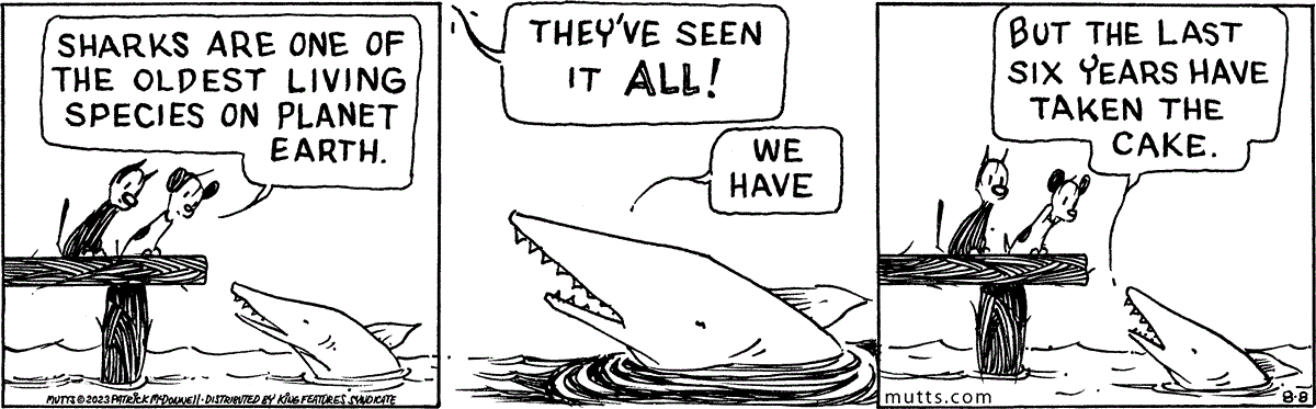 August 8 2023, Daily Comic Strip
