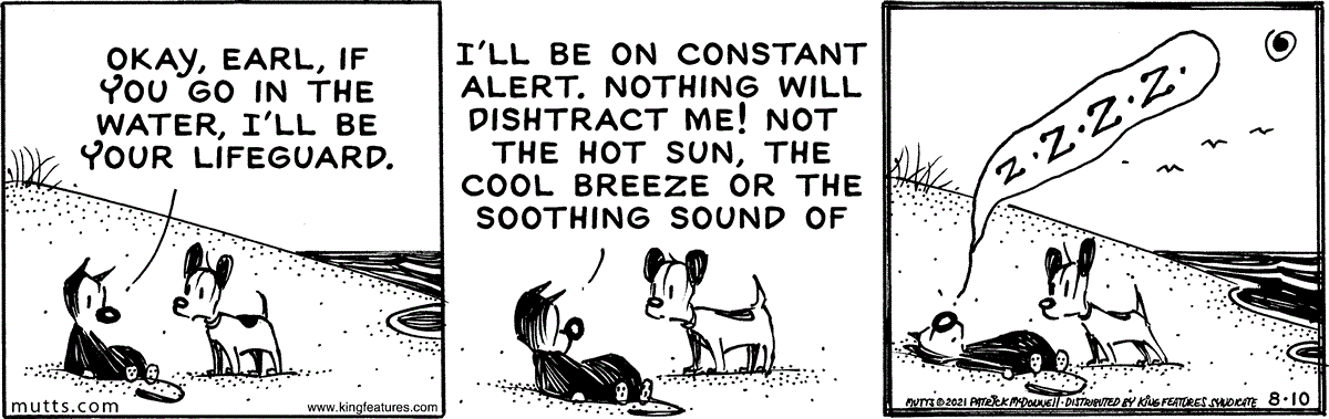August 10 2021, Daily Comic Strip