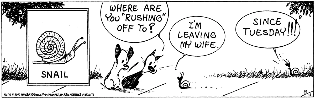 August 11 2000, Daily Comic Strip