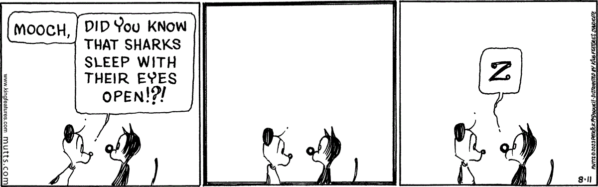 August 11 2023, Daily Comic Strip